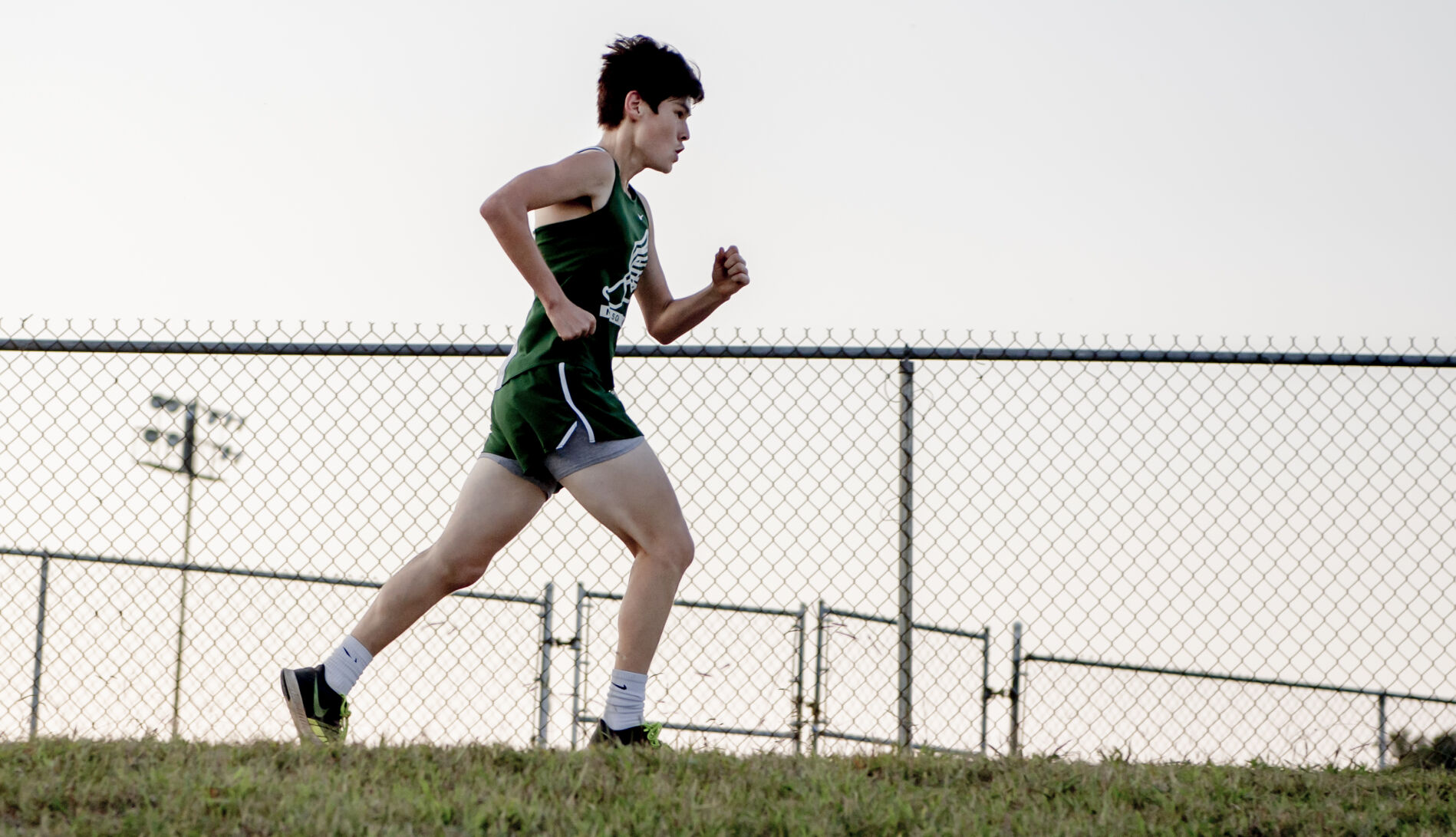 Nelson XC. 1.JPG